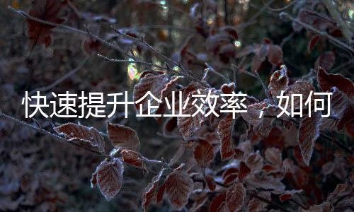 QuickQ收费吗？揭秘QuickQ如何改变你的生活